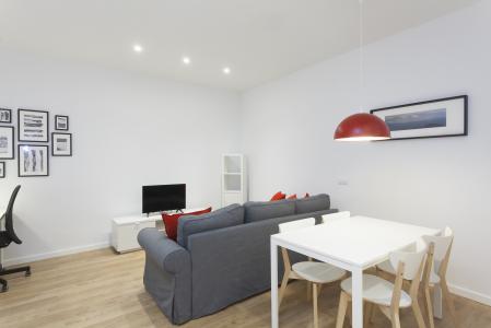 Apartment for Rent in Barcelona Hospital - Rambla Raval