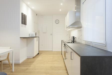 Apartment for Rent in Barcelona Hospital - Rambla Raval
