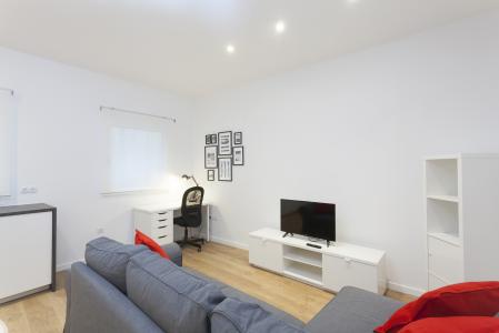 Apartment for Rent in Barcelona Hospital - Rambla Raval