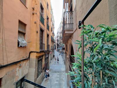 Loft en Alquiler en Barcelona Regomir - Ample