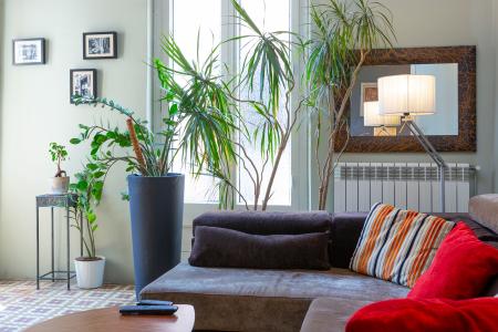 Wohnung zur Miete in Barcelona Rec - Passeig Del Born