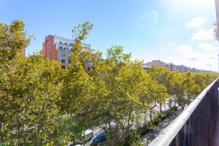 Piso moderno de alquiler mensual en Gran Vía