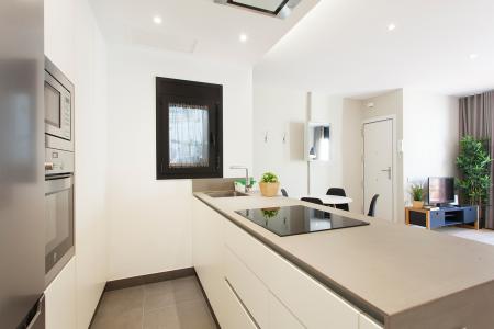 Pis en Lloguer a Barcelona Francisco Giner - Jardinets De Gracia