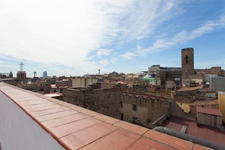 Pis en Lloguer a Barcelona Via Laietana - Plaza St. Jaume