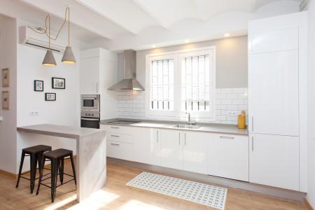 Pis en Lloguer a Barcelona Via Laietana - Plaza St. Jaume