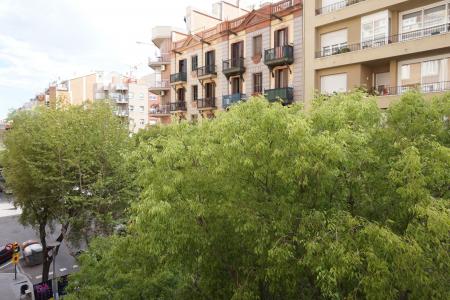 Piso en Alquiler en Barcelona Lepant - Industria