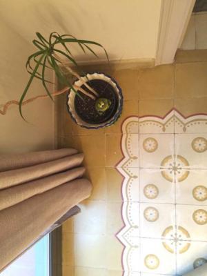 Apartamento para venda em Barcelona Còrsega - Muntaner