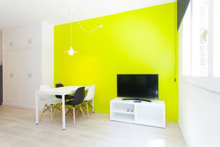 Appartement te huur in Barcelona Passatge Valeri Serra-diputació (parking Optional)