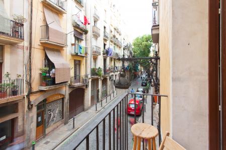 Piso en venta en Barcelona Portal Nou - Arc De Triomf (metro)
