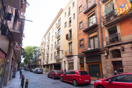 Piso en venta en Barcelona Portal Nou - Arc De Triomf (metro)