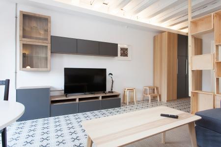 Loft en Lloguer a Barcelona Pelai - Plaça Catalunya