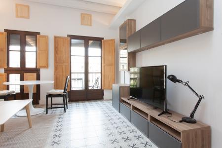 Loft en Lloguer a Barcelona Pelai - Plaça Catalunya