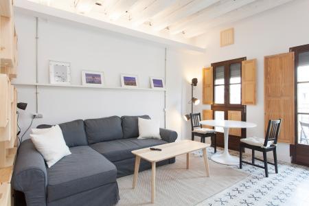 Loft en Lloguer a Barcelona Pelai - Plaça Catalunya