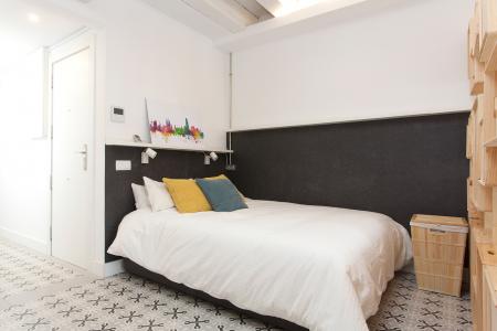 Loft en Lloguer a Barcelona Pelai - Plaça Catalunya