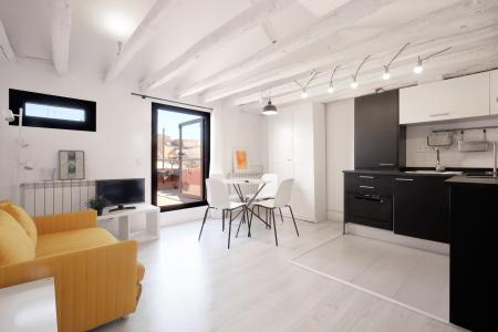 Penthouse for Rent in Madrid La Ruda - Toledo