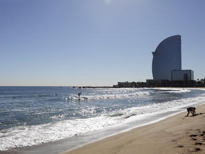 Квартира в Кратковременная аренда в Barcelona Selva De Mar - Passeig Garcia Faria