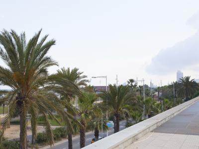 Квартира в Кратковременная аренда в Barcelona Selva De Mar - Passeig Garcia Faria