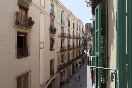 Appartement te huur in Barcelona Del Pi - Catedral