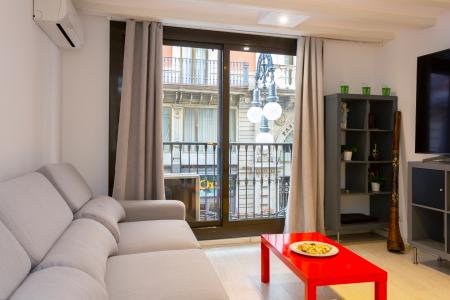 Wohnung zur Miete in Barcelona Carrer Del Call - Plaça Sant Jaume