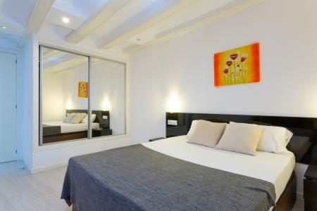 Wohnung zur Miete in Barcelona Carrer Del Call - Plaça Sant Jaume