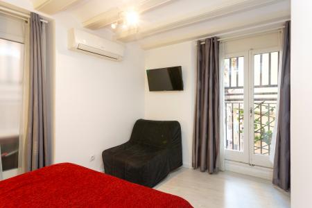 Wohnung zur Miete in Barcelona Carrer Del Call - Plaça Sant Jaume