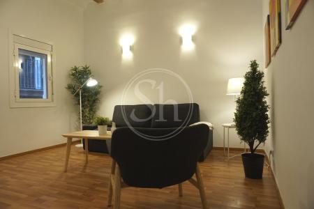 Apartment for Rent in Barcelona Argenter - Sant Pere Mitjà