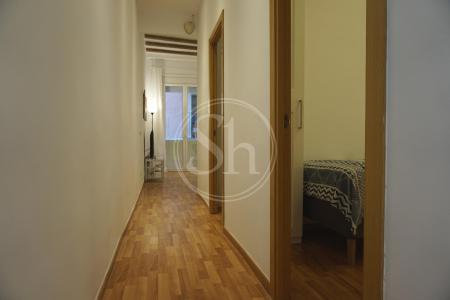 Apartment for Rent in Barcelona Argenter - Sant Pere Mitjà