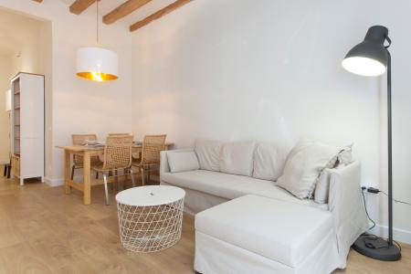 Appartement te huur in Barcelona Roser - Paralel