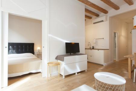 Appartement te huur in Barcelona Roser - Paralel