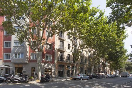 Incantevole appartamento in affitto in via Consell De Cent