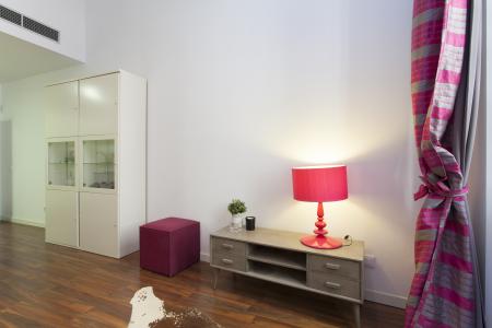 Piso en Alquiler en Barcelona Sant Pere Mes Baix - Metges