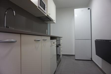 Wohnung zur Miete in Barcelona Prats De Molló - Ronda General Mitre