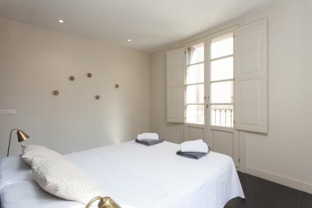Appartement te huur in Barcelona Princesa - Sant Ignasi