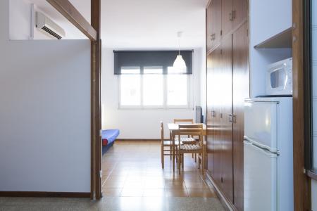 Apartment for Rent in Barcelona Passatge Valeri Serra-diputació (parking Optional)