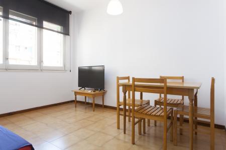 Apartment for Rent in Barcelona Passatge Valeri Serra-diputació (parking Optional)