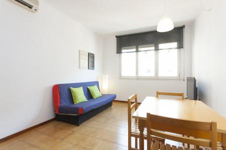 Apartment for Rent in Barcelona Passatge Valeri Serra-diputació (parking Optional)