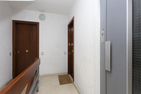 Apartment for sale in Barcelona Rubens - Pg. Mare De Deu Del Col