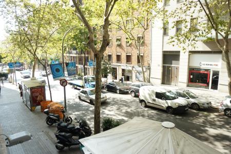 Apartment for Rent in Barcelona Padilla - Travessera De Gràcia