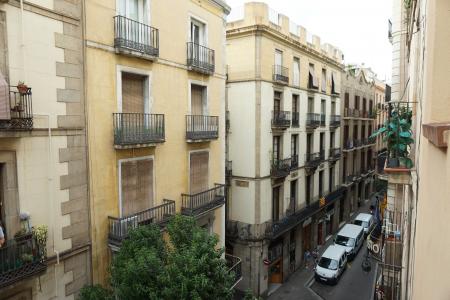 Piso en Alquiler en Barcelona Ample - Avinyó