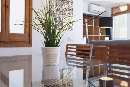 Apartment for Rent in Barcelona Perill - Torrent De L'olla