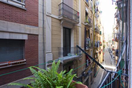 Apartment for sale in Barcelona Roig - Hospital