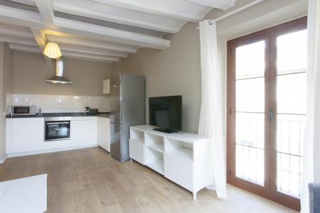 Apartment for Rent in Barcelona Portal Nou - Born