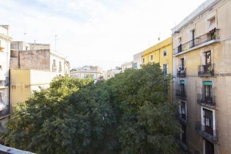 Apartment for Rent in Barcelona Portal Nou - Born