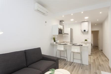 Piso en Alquiler en Barcelona Paral·lel - Sant Bertran