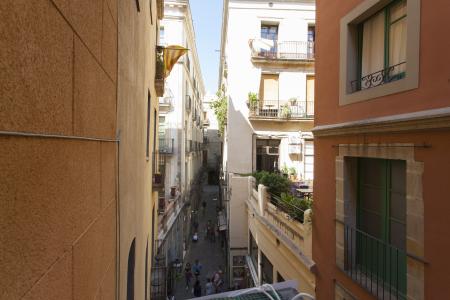 Piso en venta en Barcelona Ptritxol - Portafessirssa