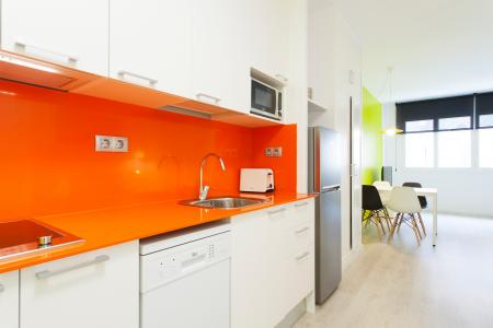 Appartement te huur in Barcelona Passatge Valeri Serra-diputació (parking Optional)