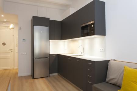 Appartement te huur in Barcelona Roser - Avenida Del Paralel