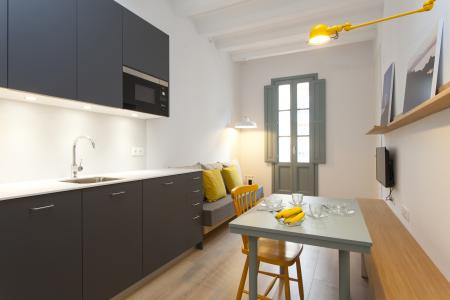Appartement te huur in Barcelona Roser - Avenida Del Paralel