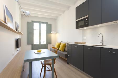 Appartement te huur in Barcelona Roser - Avenida Del Paralel