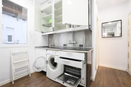 Apartment for Rent in Madrid Plaza PeÑuelas - Embajadores